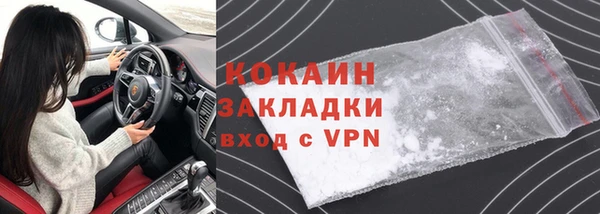 прущие грибы Саяногорск
