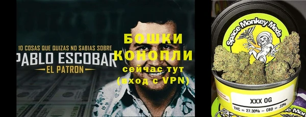 СК Сафоново